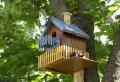 Installare una casetta per uccelli in giardino