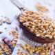 Orzo, i benefici e i danni del porridge per il corpo umano