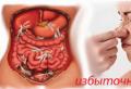 Alimentazione per ripristinare la microflora intestinale Cosa succede quando la microflora intestinale è disturbata